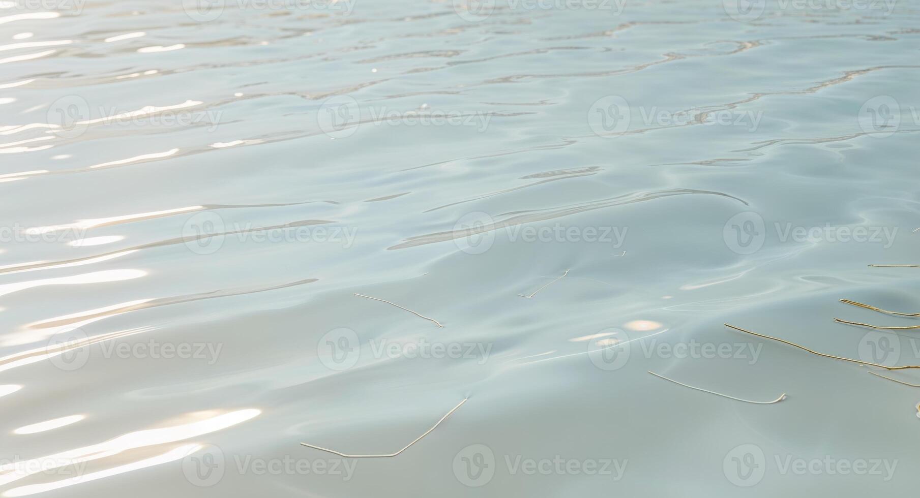 A close up of a small plant floating in the water photo