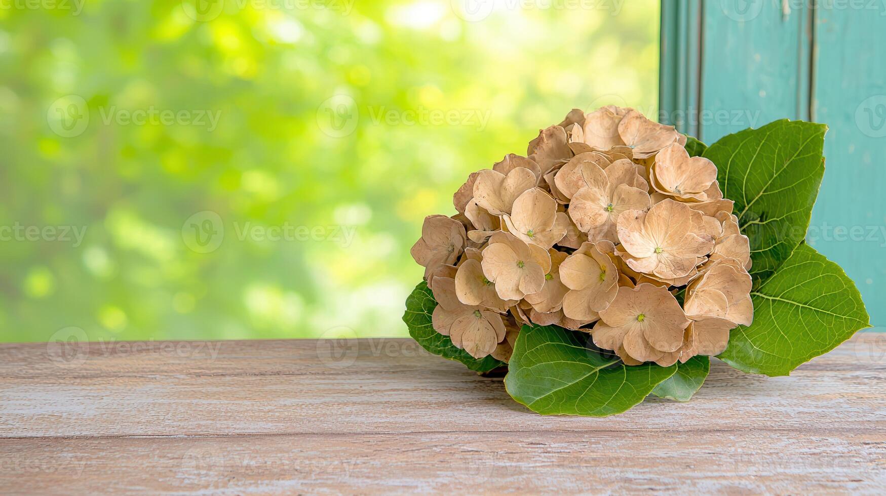 Dried Hydrangea Bouquet on Rustic Wooden Table Green Background photo