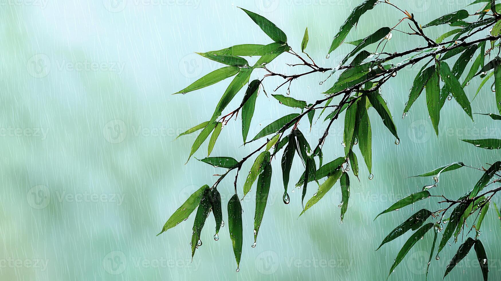 Serene Bamboo Leaves in Gentle Rain Tranquil Nature Scene Lush Green Foliage photo