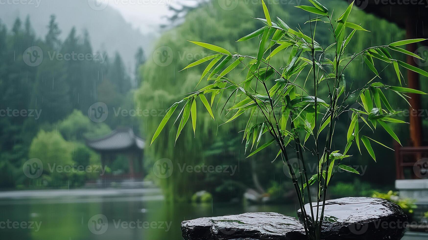 Serene Rain Bamboo Plant in Tranquil Asian Garden Landscape photo