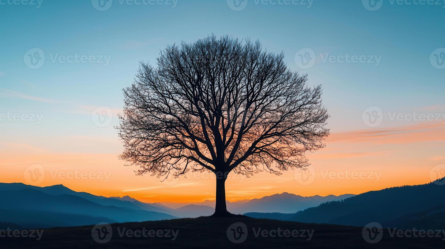 Majestic Silhouette of a Leafless Tree at Sunset Over Serene Mountain Range photo
