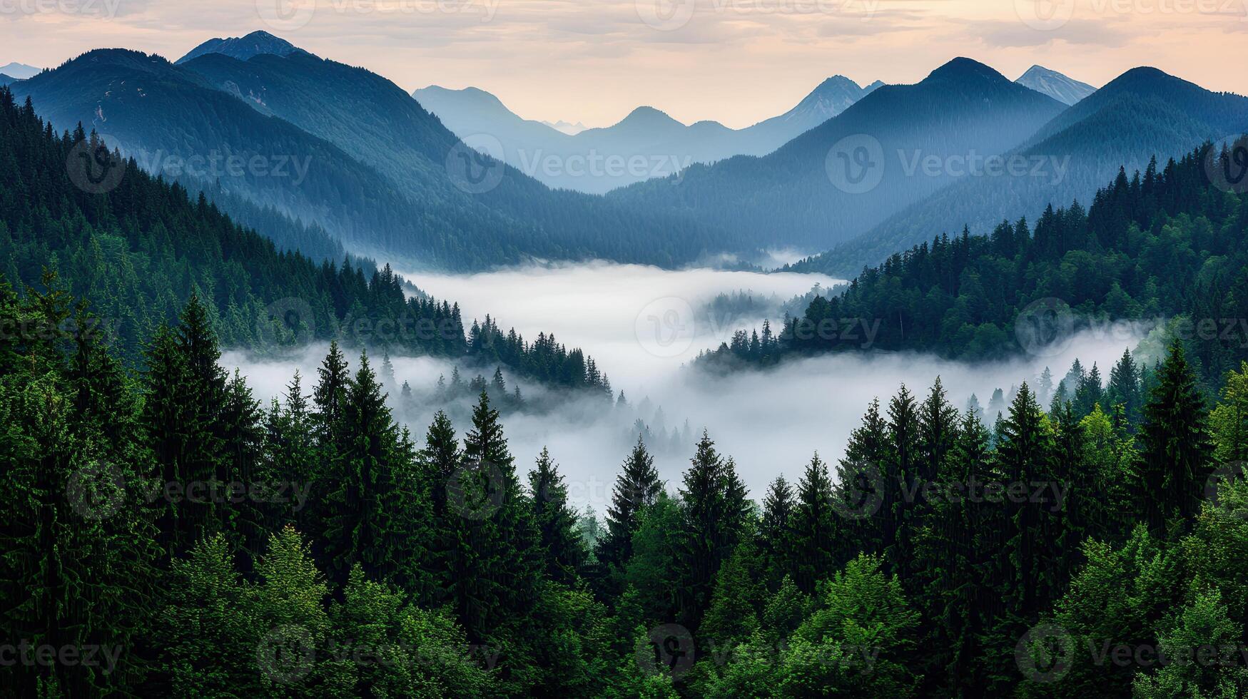 Majestic Mountain Valley Landscape Foggy Forest Sunrise Over Peaks photo