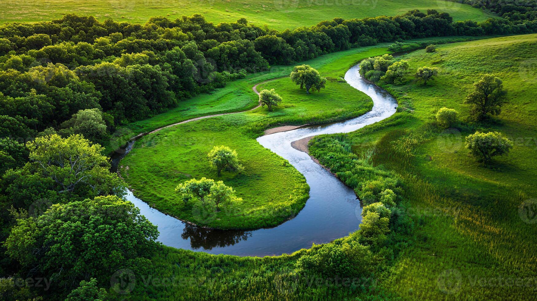 Serene Aerial View of a Winding River Through Lush Green Meadows and Forest photo