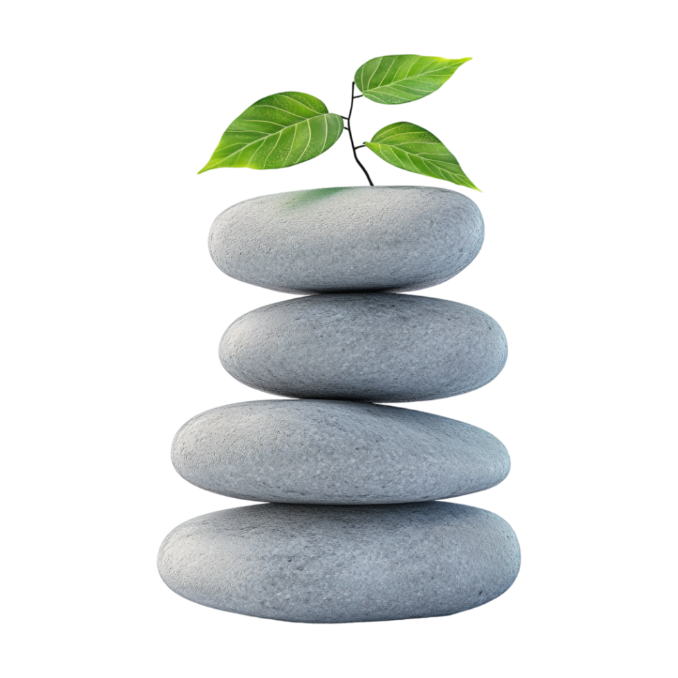 a stack of stones with a plant on top png