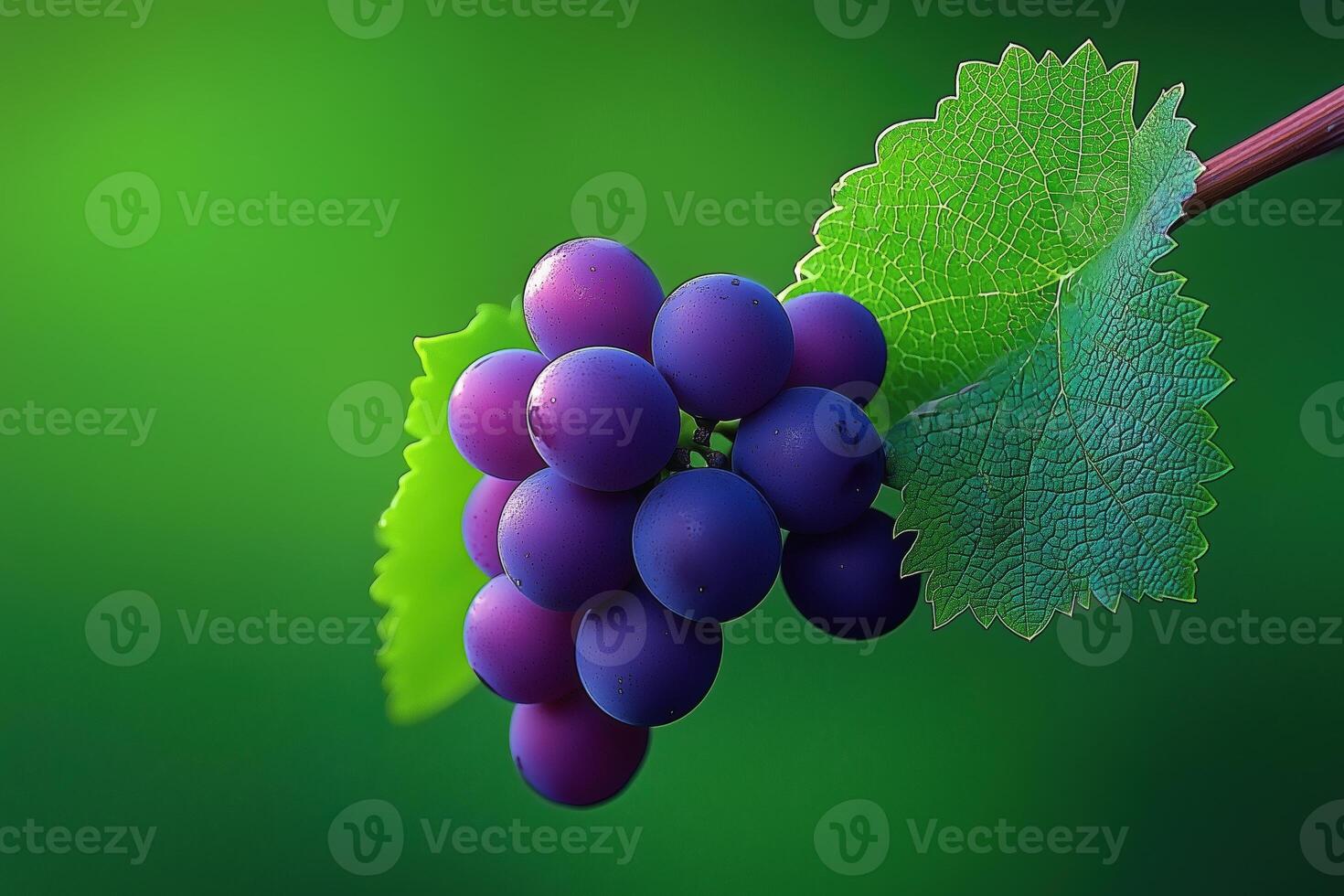 Vibrant close-up of purple grapes with green leaves on a lush background photo