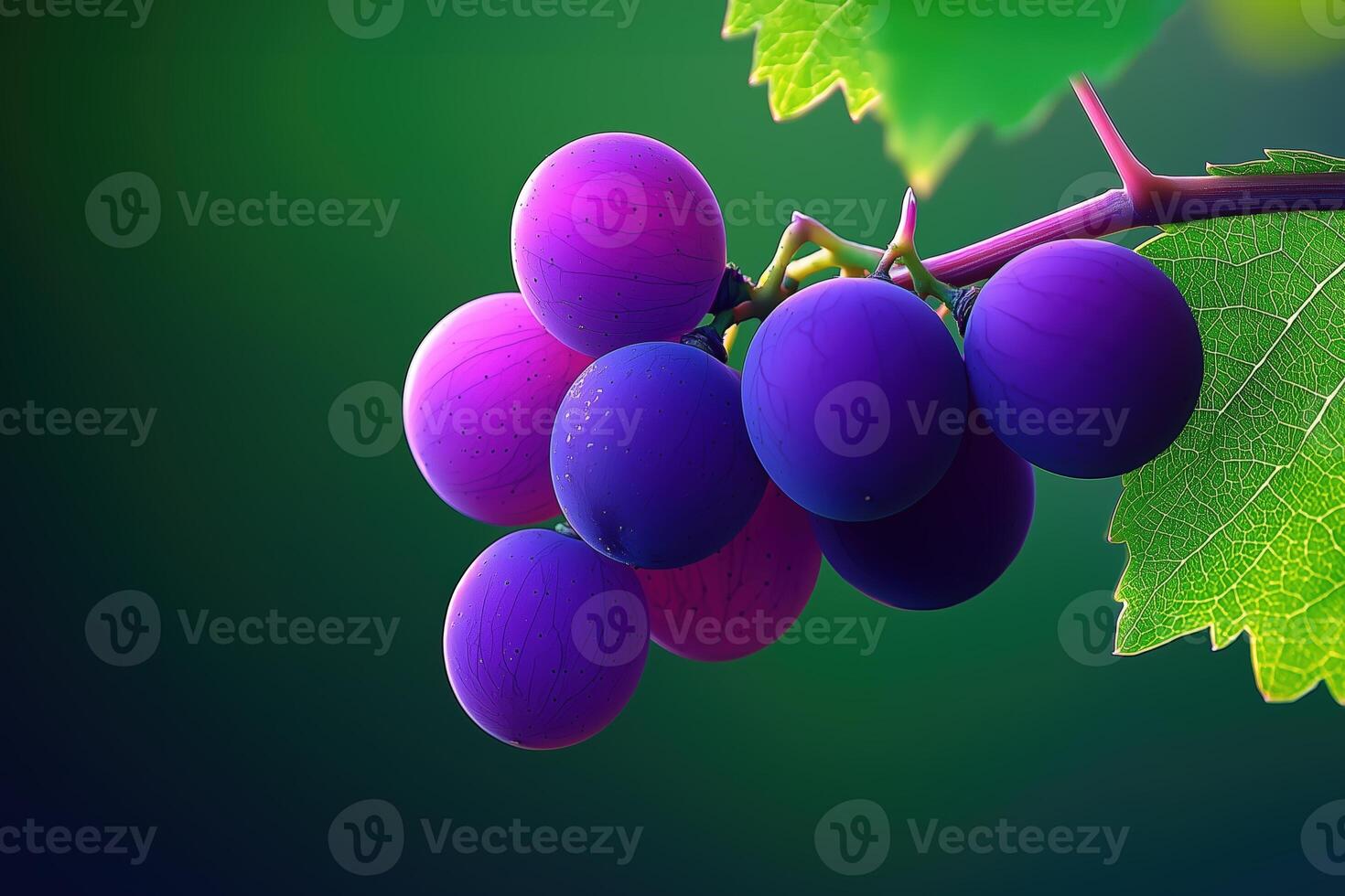 Close-up of vibrant purple grapes with green leaves against a soft focus background photo