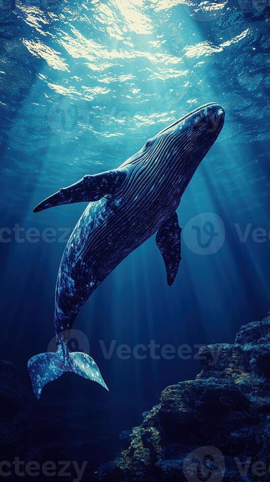 Humpback whale swimming in underwater light rays with ocean floor photo