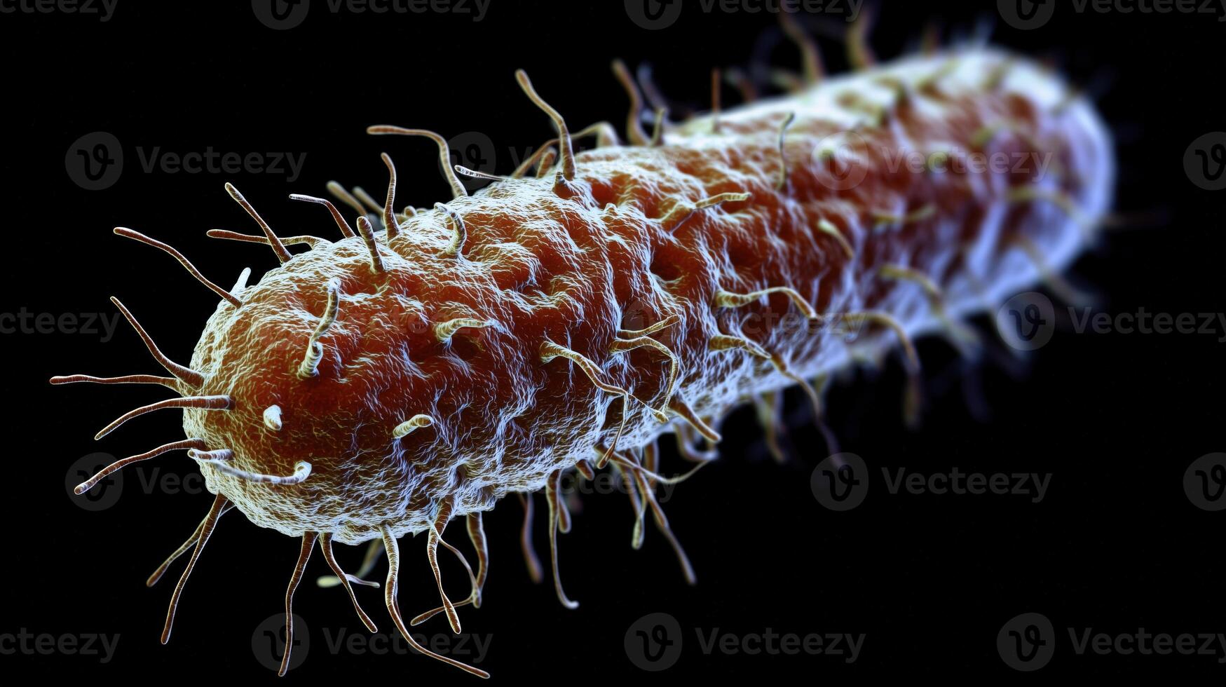 Microscopic view of a bacteria with hairlike projections under magnification photo