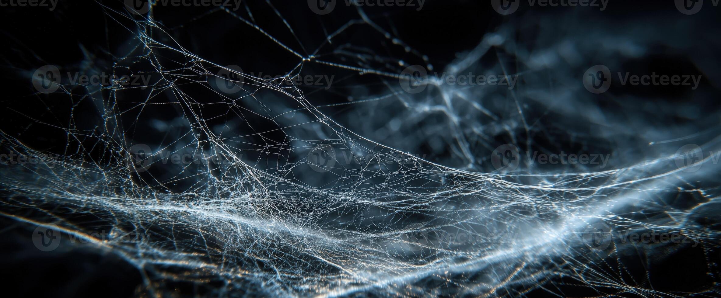 Abstract detailed spider web with intricate patterns against a dark background photo
