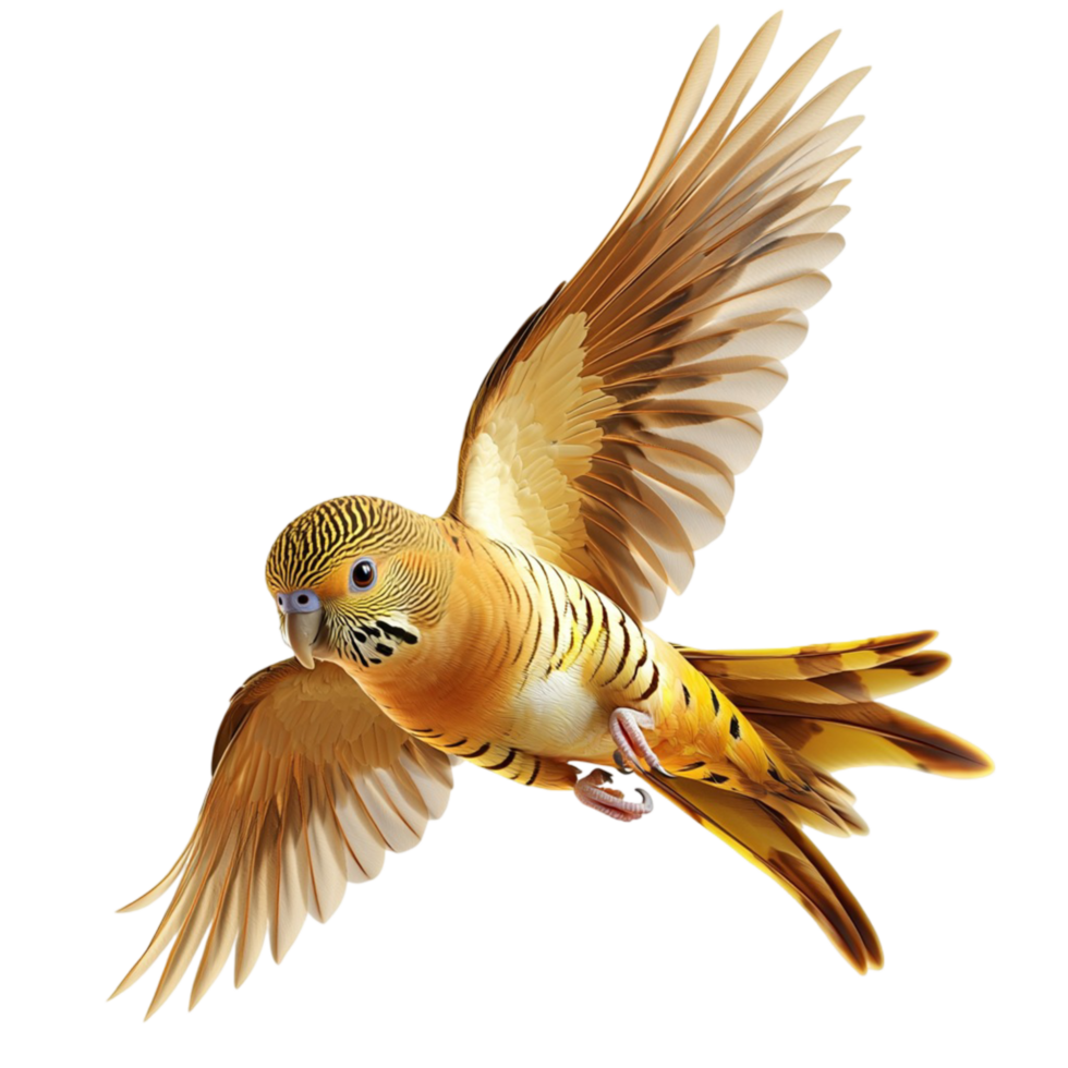 Colorful parrot soaring through the air with its wings spread wide png
