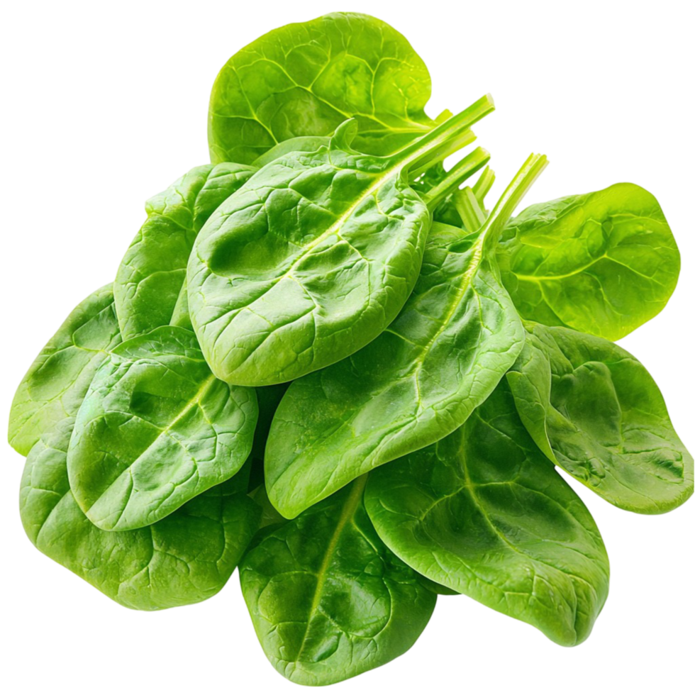 green spinach leaves with a crisp and healthy appearance png