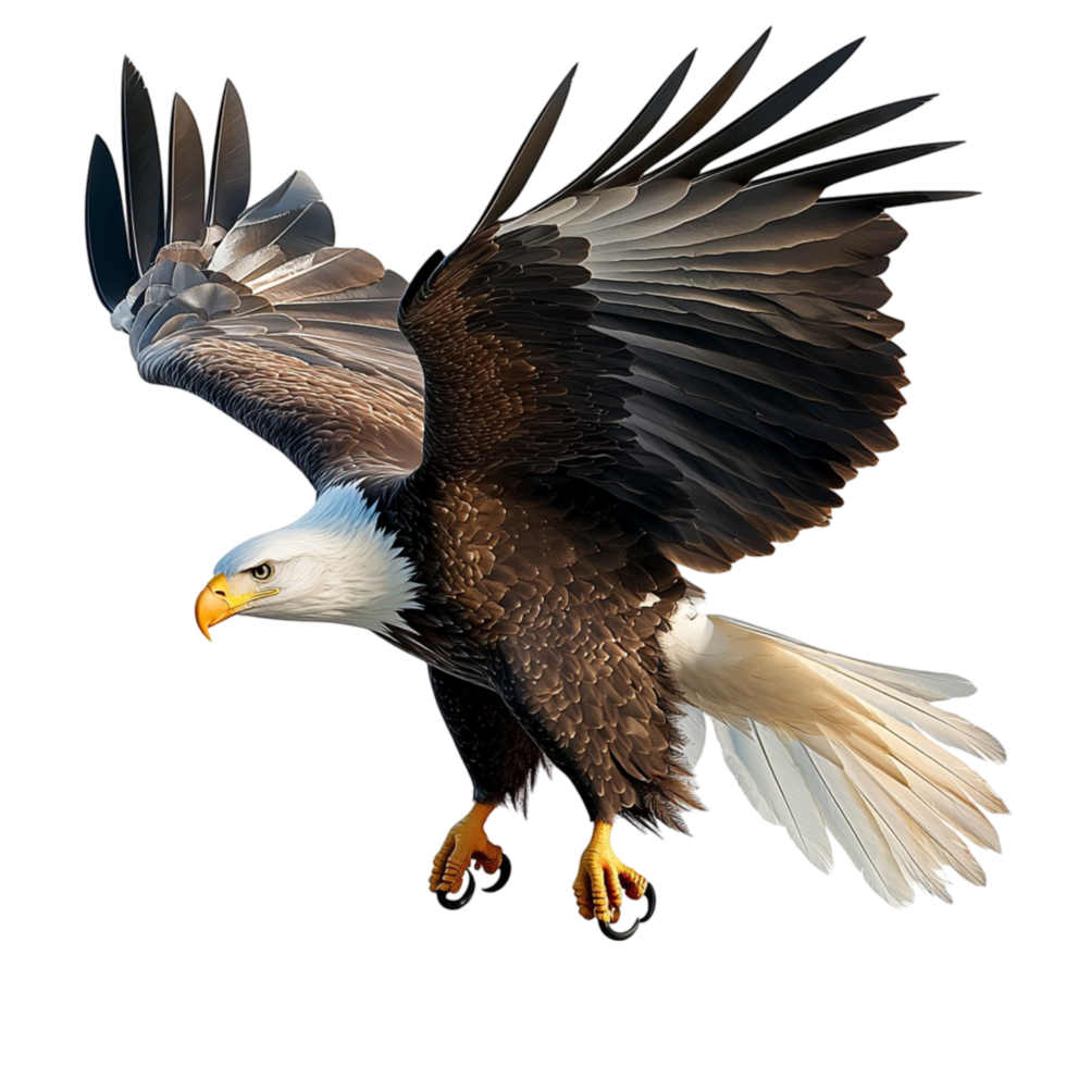 Majestic bald eagle soaring with powerful wings spread wide png