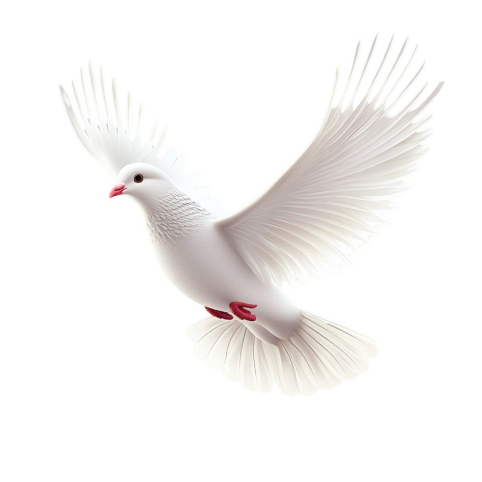 White dove in mid flight with wings spread wide and a peaceful expression png