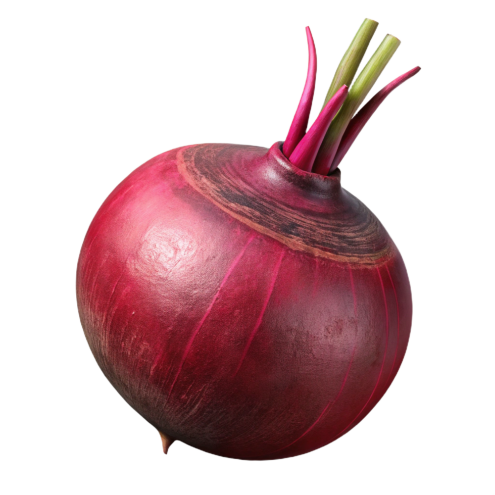 extraordinary classic Beetroot Whole Dark Red Transparent 4K png