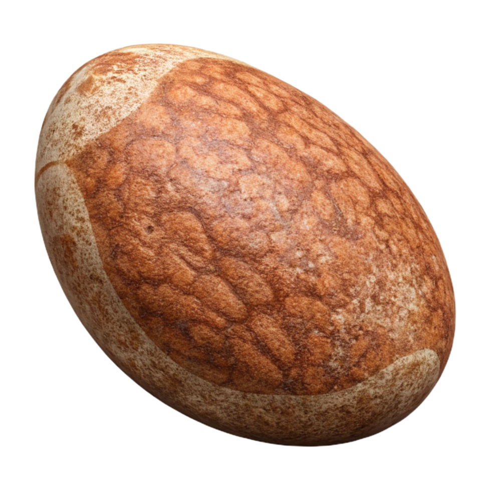 wonderful rustic Brazil Nut Large Oval Isolated Cutout 4K png