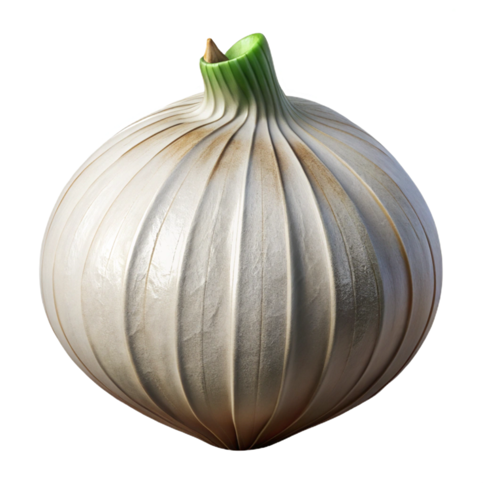 beautiful rustic Onion Cutout with White Layers 4K png