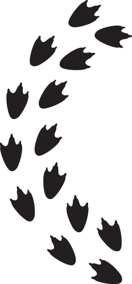 Penguin Footprints - Foot Tracks vector