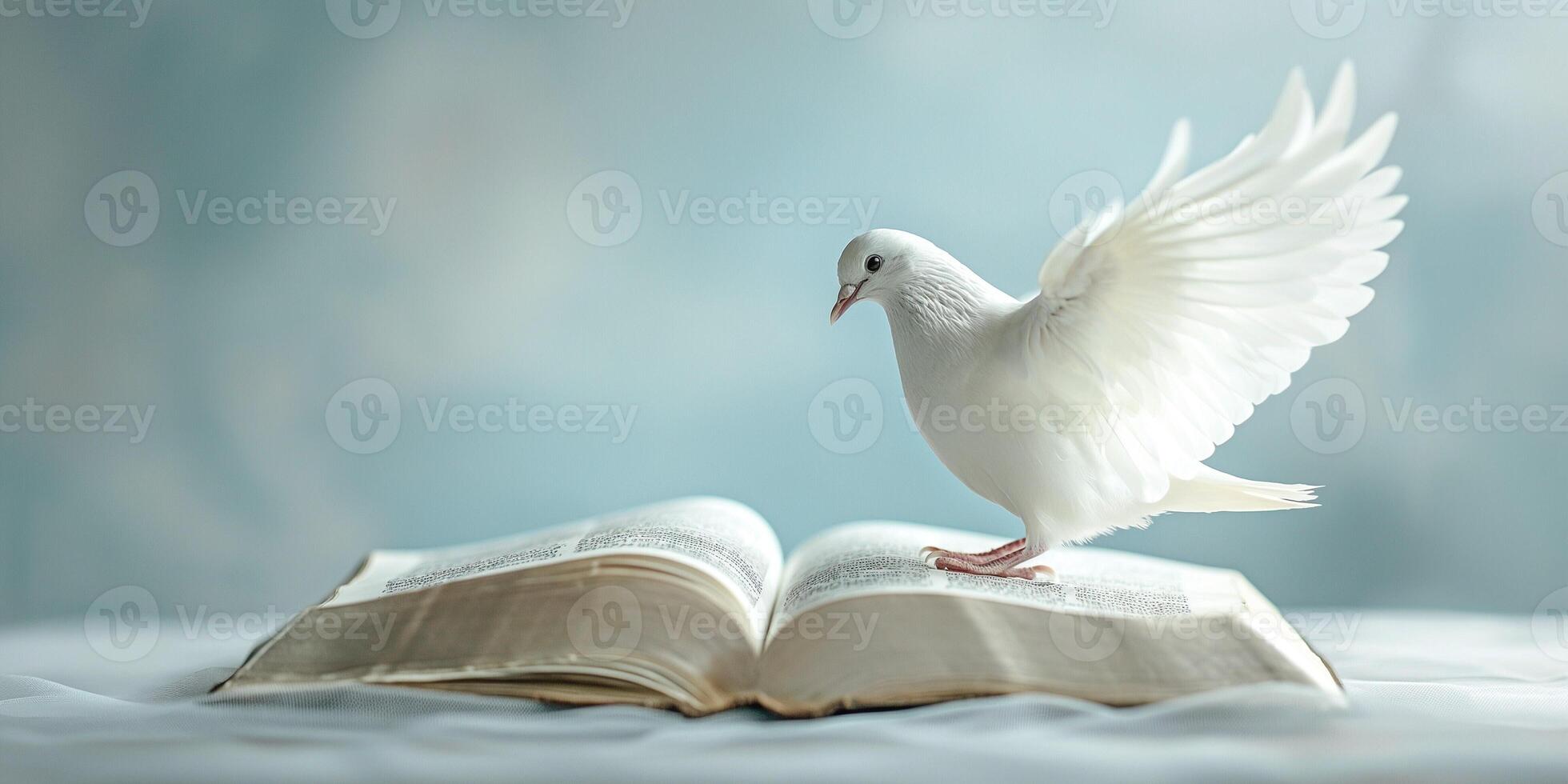 A graceful white dove spreads its wings while standing on an open book, symbolizing peace and knowledge. photo