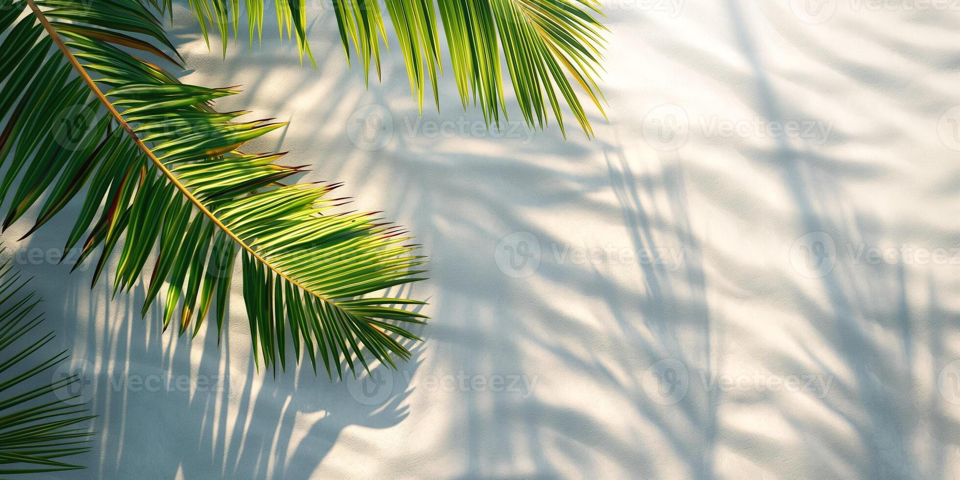 Lush green palm leaves cast graceful shadows on a sandy surface, evoking a tropical paradise. photo