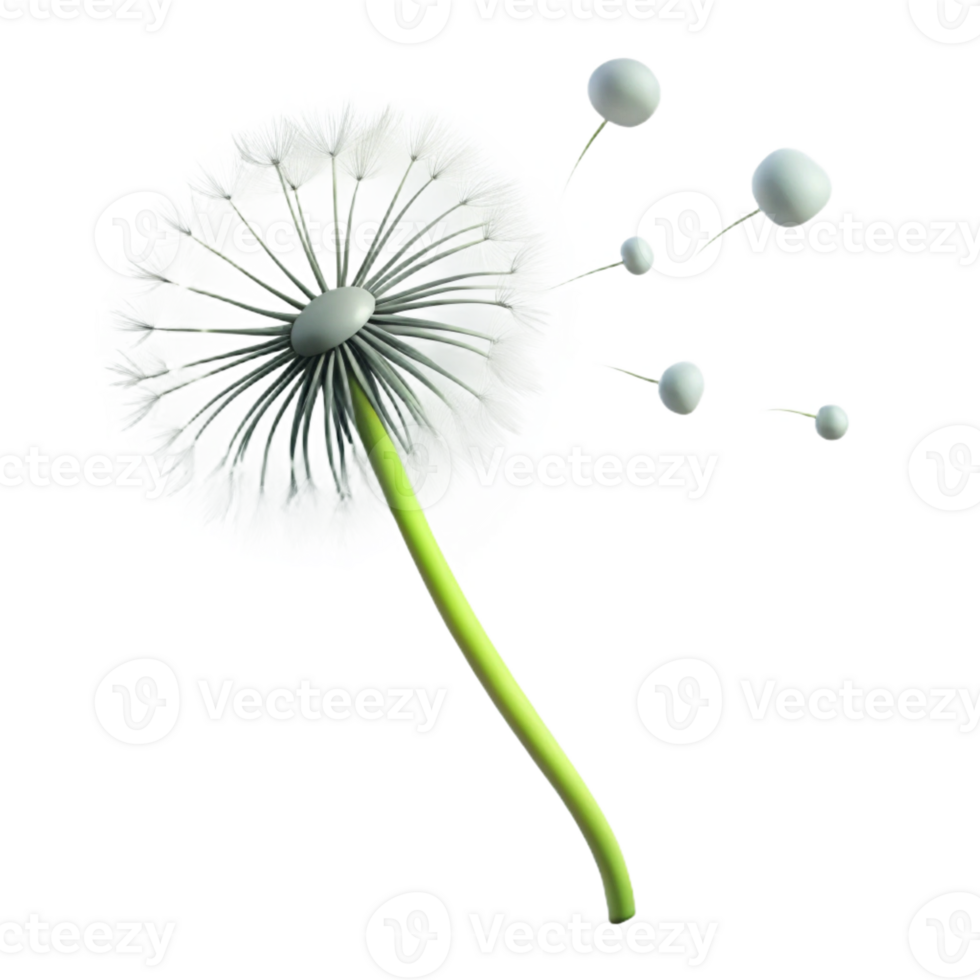 elegant contemporary A single dandelion seedhead blowing in the wind, minimalist photography, delicate and ethereal detailed png