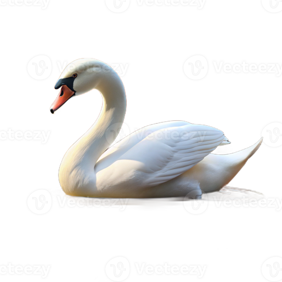 extraordinary classic A graceful swan gliding across a still lake reflecting the autumn foliage, soft lighting, impressionistic style high resolution png