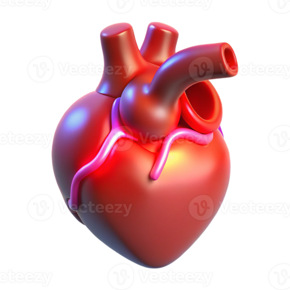 serene vintage A holographic projection of a human heart beating, soft red light, medical illustration style exclusive png