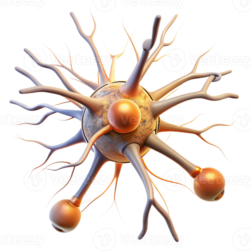 dramatic traditional A single human neuron firing, intricate connections and electrical impulses, scientific illustration style authentic png