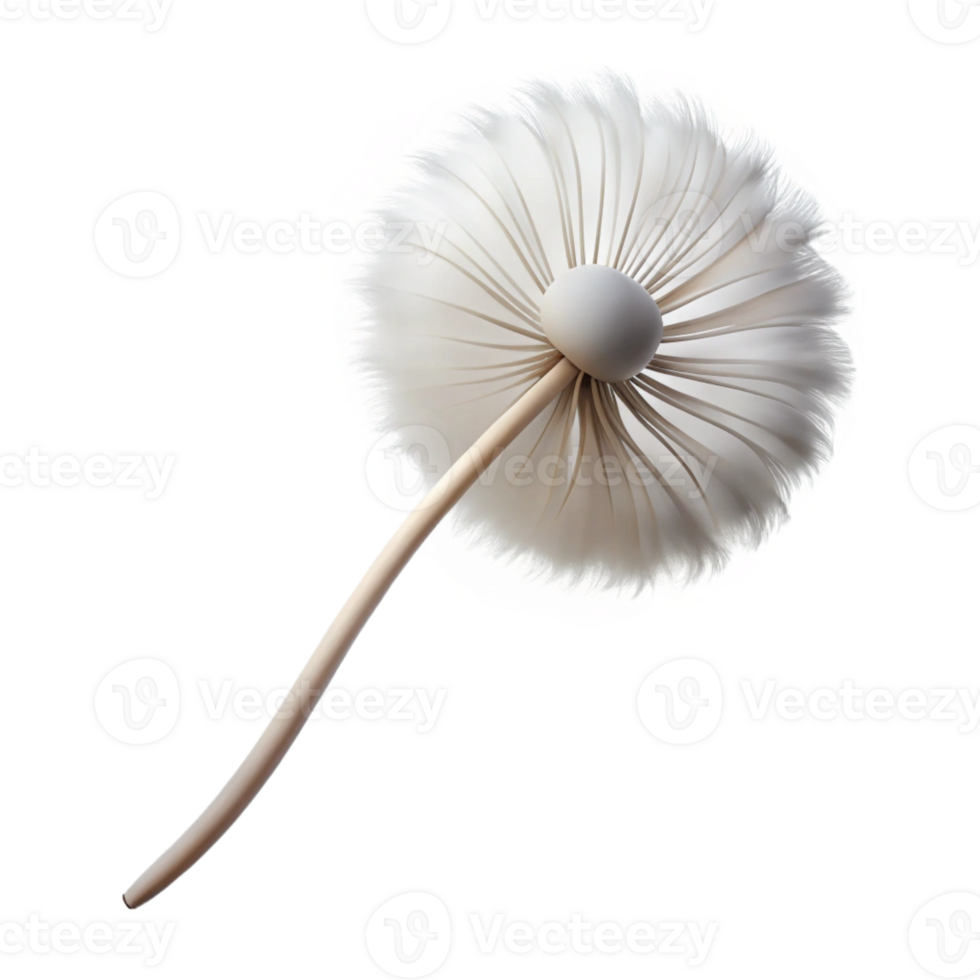 dramatic minimalist A single dandelion seed head in the wind, soft diffused light, ethereal, minimalist detailed png