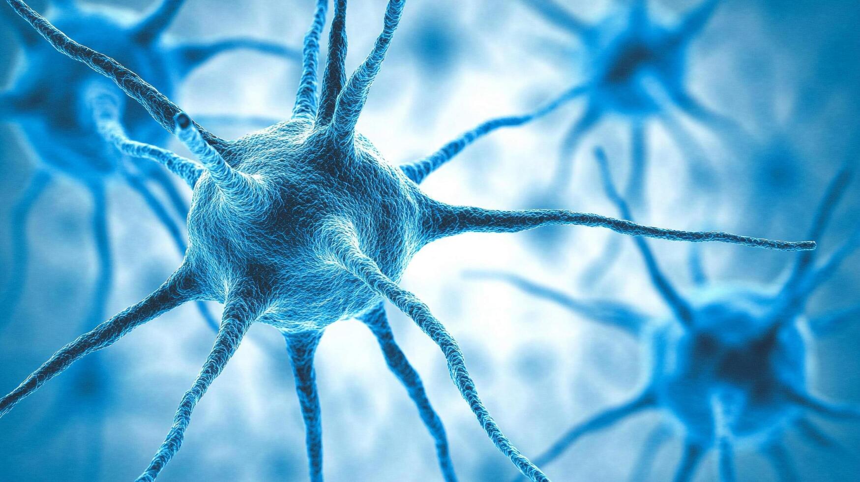 Microscopic view of interconnected neurons, essential for brain function and communication within the nervous system. photo