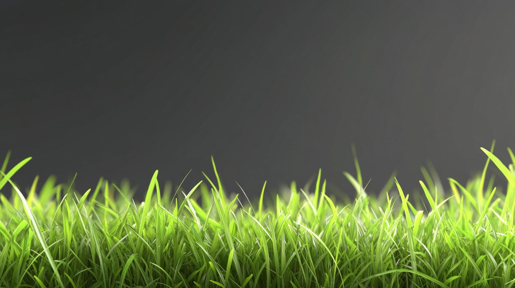 Lush green grass stands out against a dark backdrop, creating a natural, vibrant contrast and highlighting freshness. photo