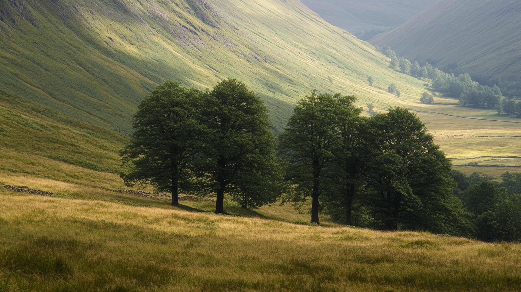 Serene hillside landscape with verdant trees, golden grass, and a backdrop of mist-shrouded mountains on a sunny day. photo