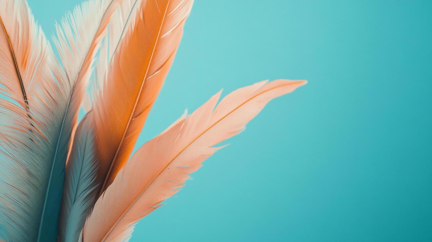 Delicate feathers in shades of orange and white against a vibrant teal backdrop, creating a soft and calming visual appeal. photo