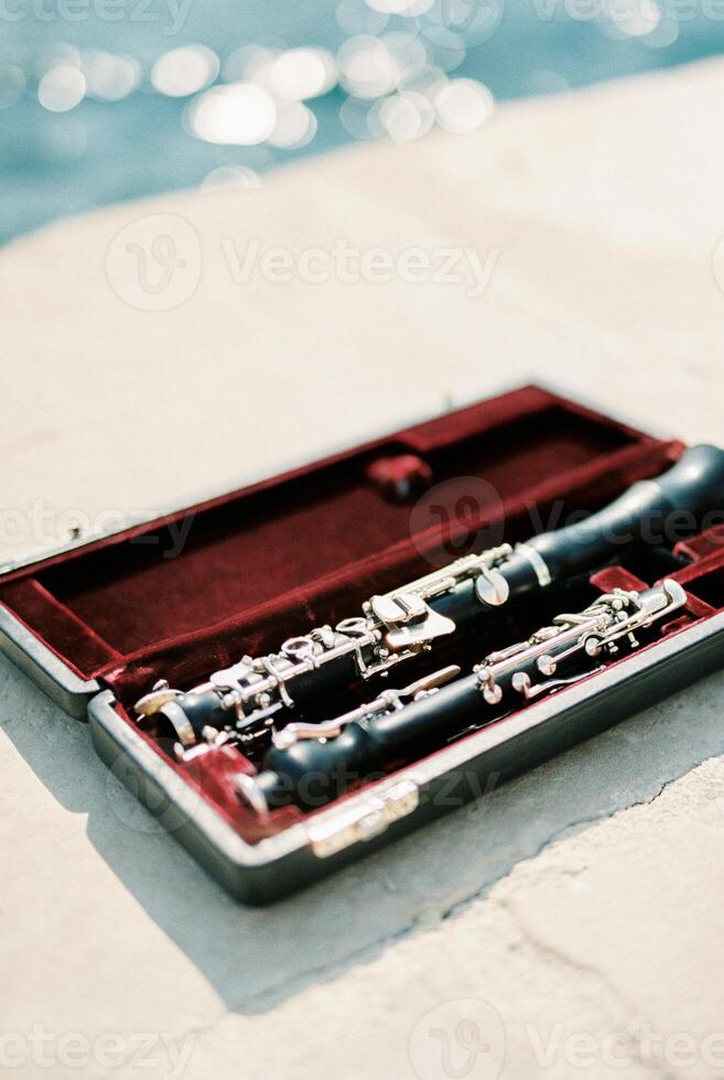 Clarinet in an open case lies on a stone fence near the sea photo