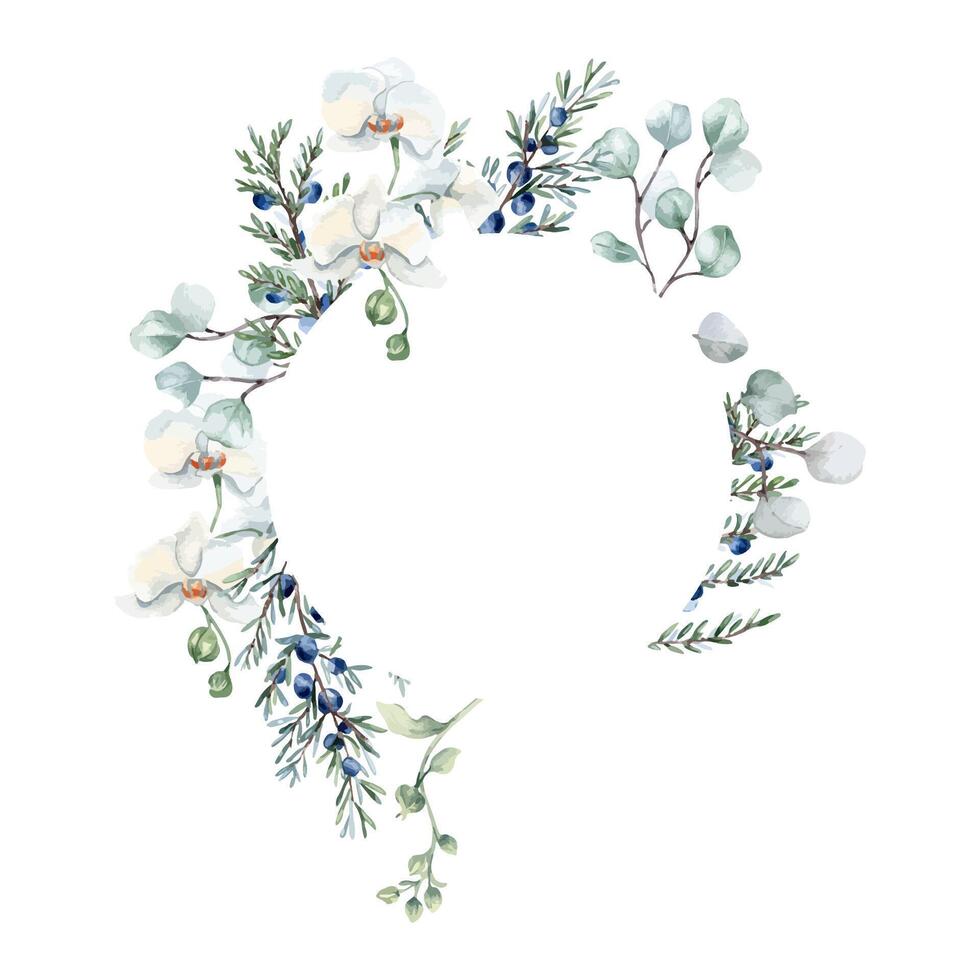 White orchids, juniper blue berries and eucalyptus twigs in pastel watercolor circle frame isolated. Neutral leaves and flowers in soft sage green tones hand drawn. Greenery wreath for wedding design vector