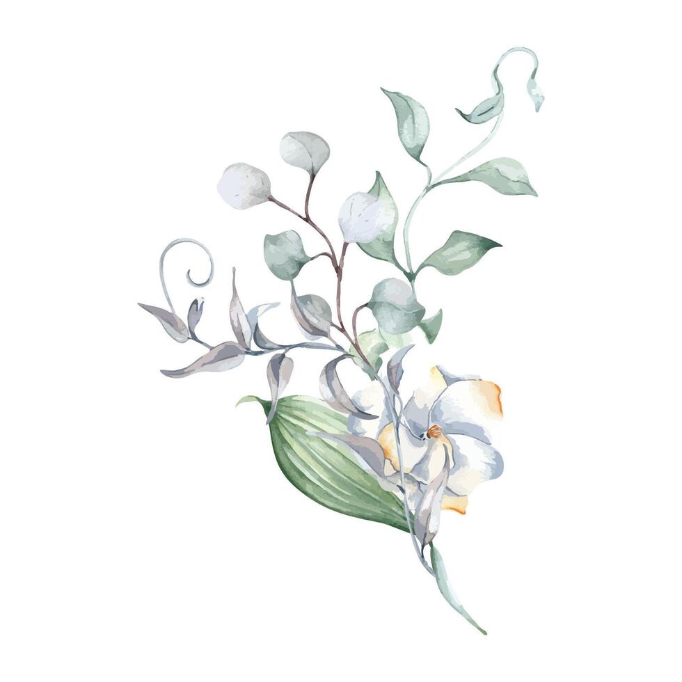 Watercolor arrangement with eucalyptus, gardenia flower and rippled vine of tree in neutral tones isolated. Foliage bouquet with plants in soft sage green tones hand drawn for design nature product. vector