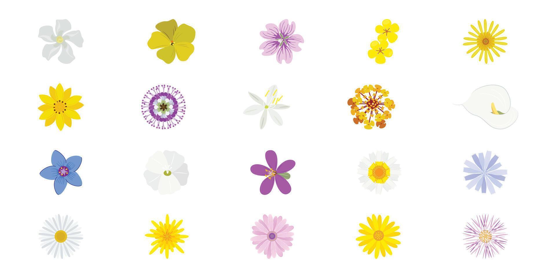 FLOWER COLLECTION STOCK 001 - FLOWER ICON ORNAMENT vector