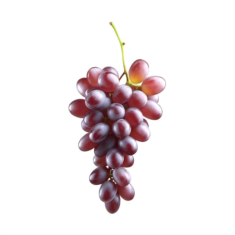 Photorealistic bunch of natural juicy red grapes isolated on a white background. Design for advertising and packaging photo