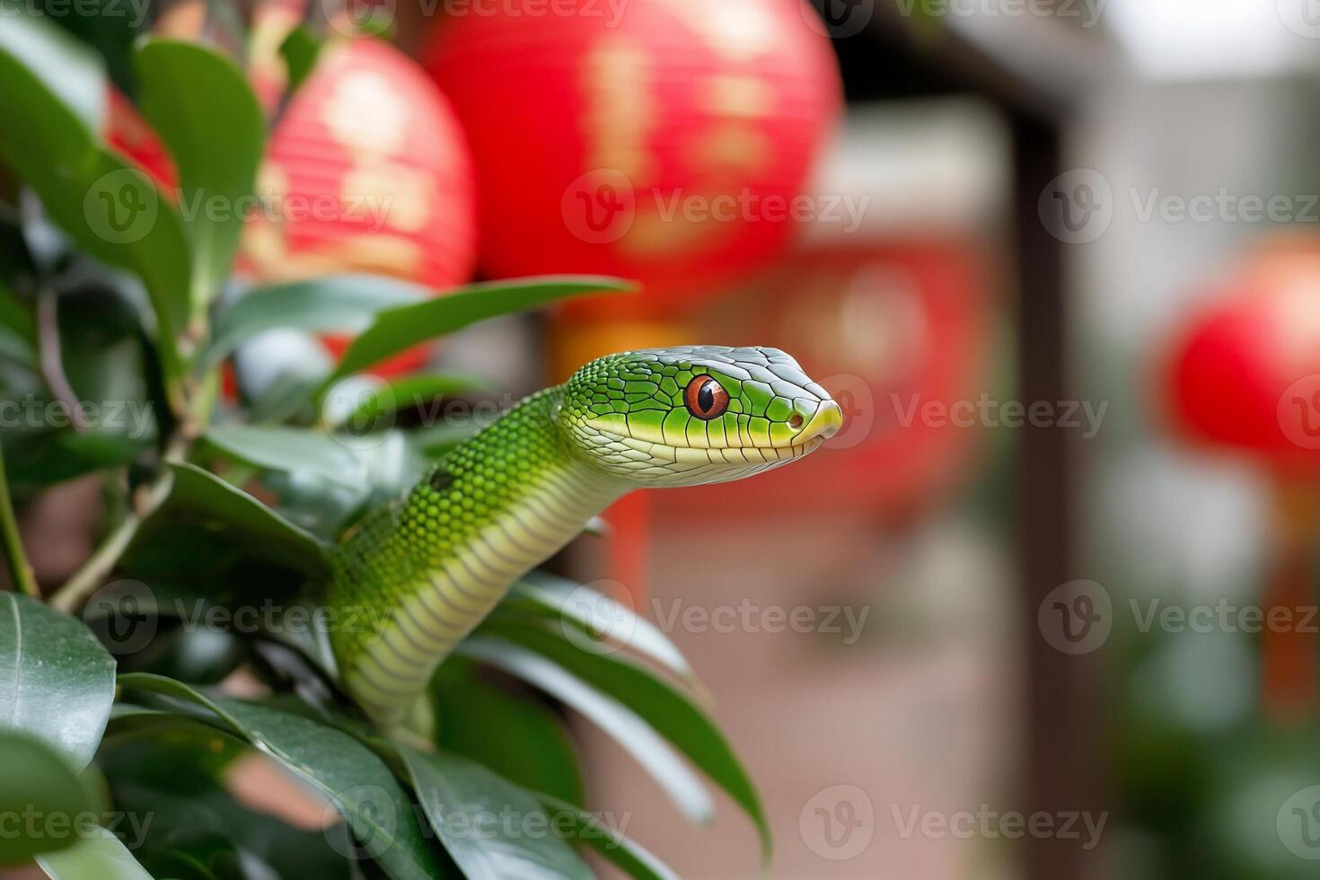 A green snake is sitting on a plant photo