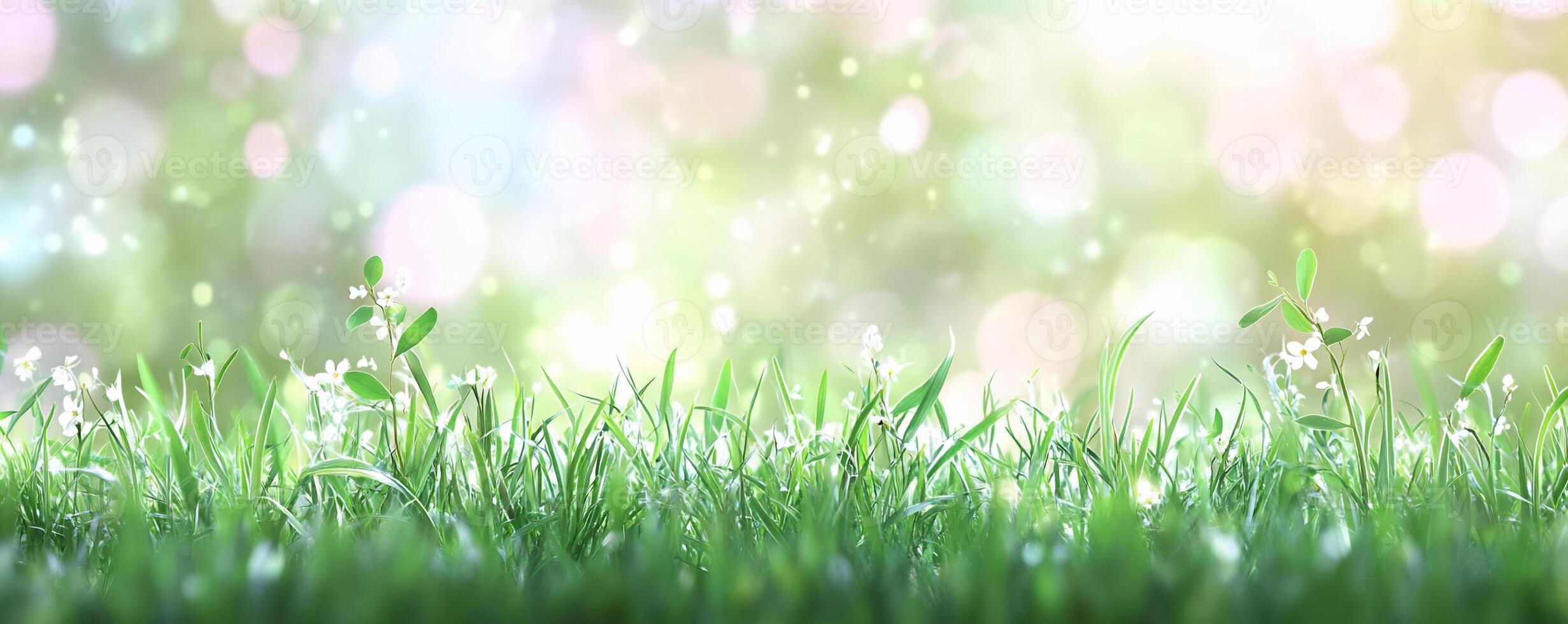 A serene grassy landscape with soft bokeh lights and delicate flowers. photo