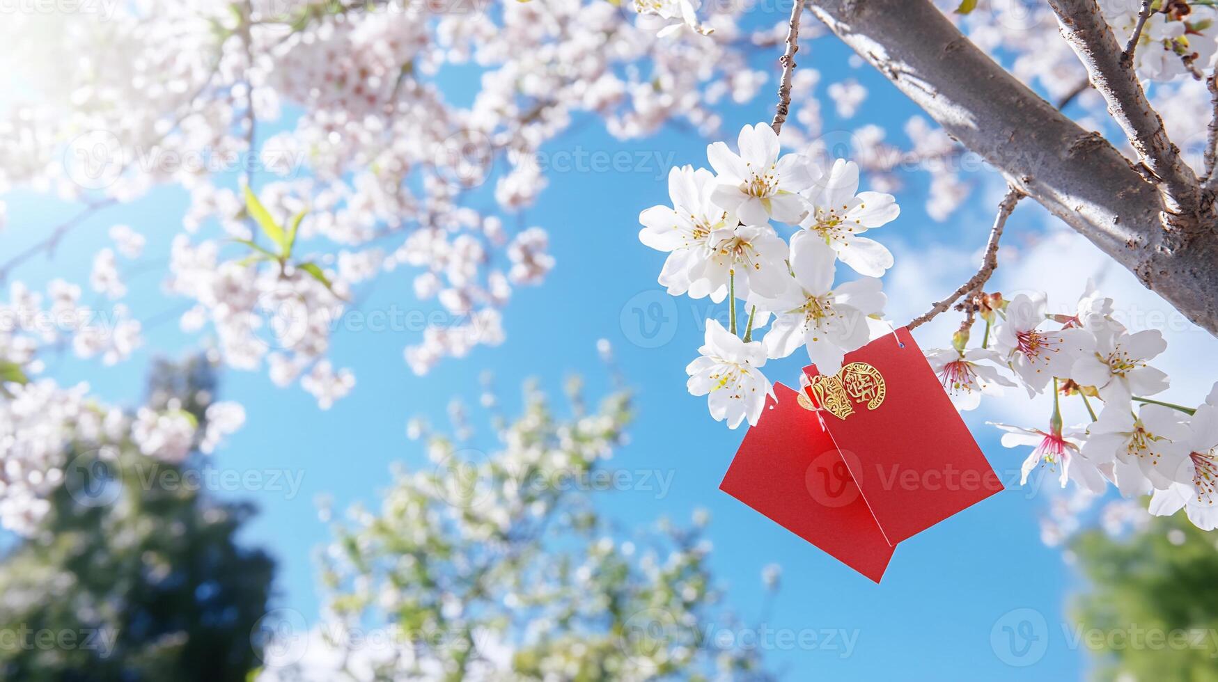 Cherry blossoms with red envelopes hanging, symbolizing celebration. photo