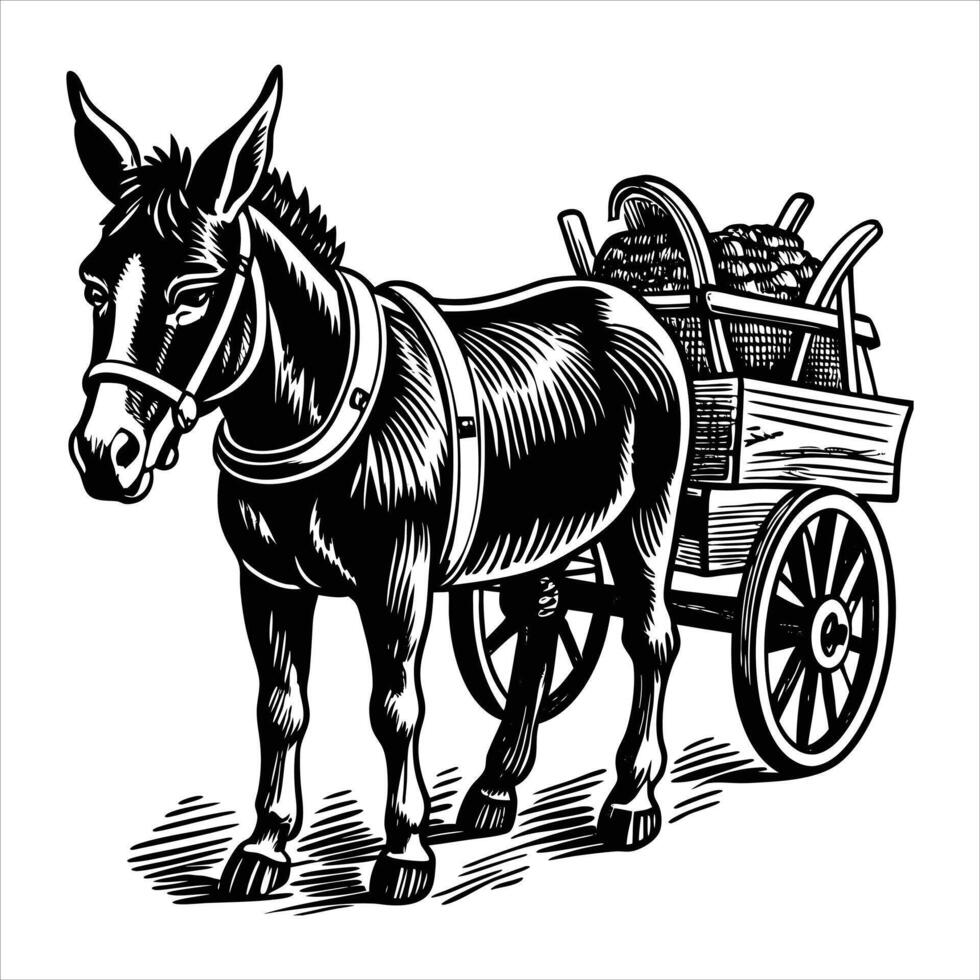Stunning Donkey Silhouette vector