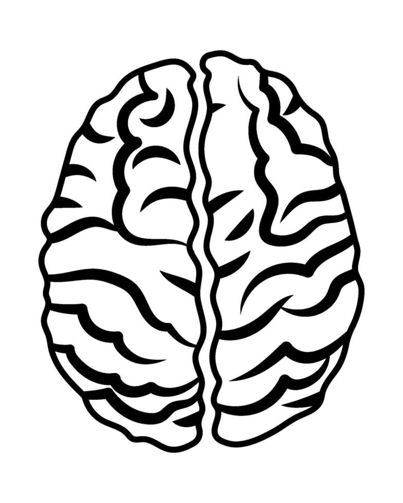 Human brain silhouette. Isolated illustration for your design vector