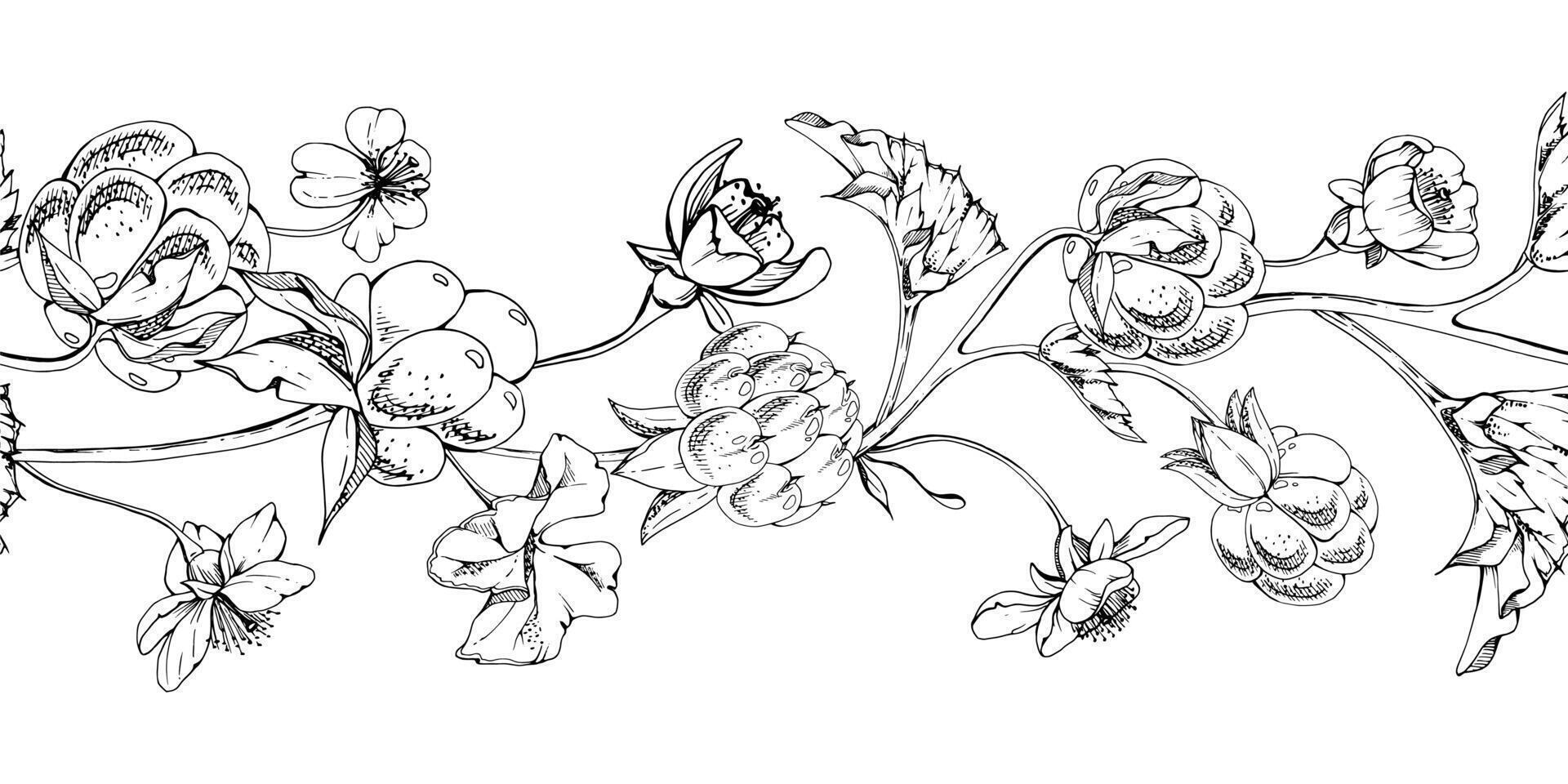 Cloudberry raspberry with white flowers, autumn leaves hand drawn ink, line ripe forest berry on stems. Seamless banner garland illustration. Restaurant, cafe menu, wedding, farmers market vector