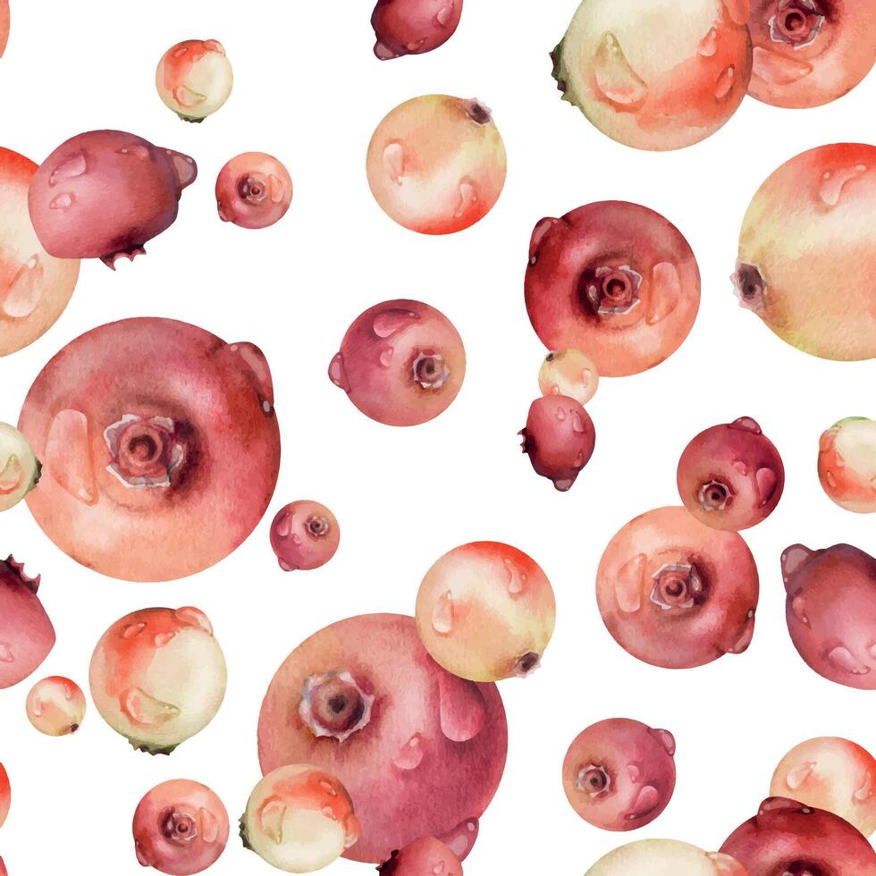 Lingonberry cranberry hand drawn in watercolor, scattered ripe forest berry group, dew drops, bearberry teaberry. Seamless pattern isolated illustration. Textile, scrapbooking, farmers market menu vector