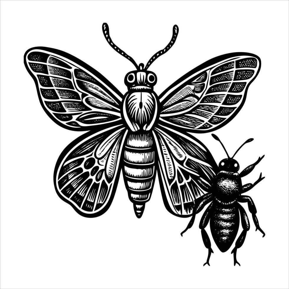bee and butterfly vector