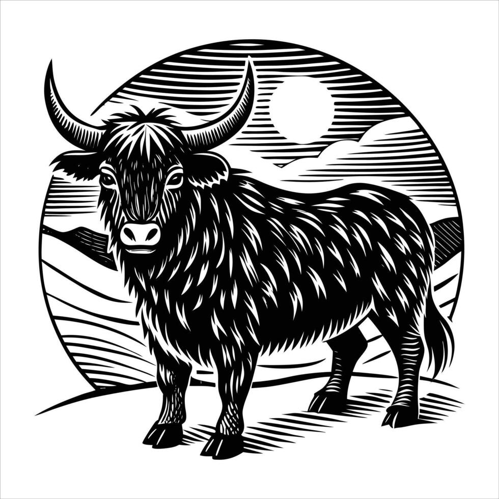 Black and white yak on white.. vector