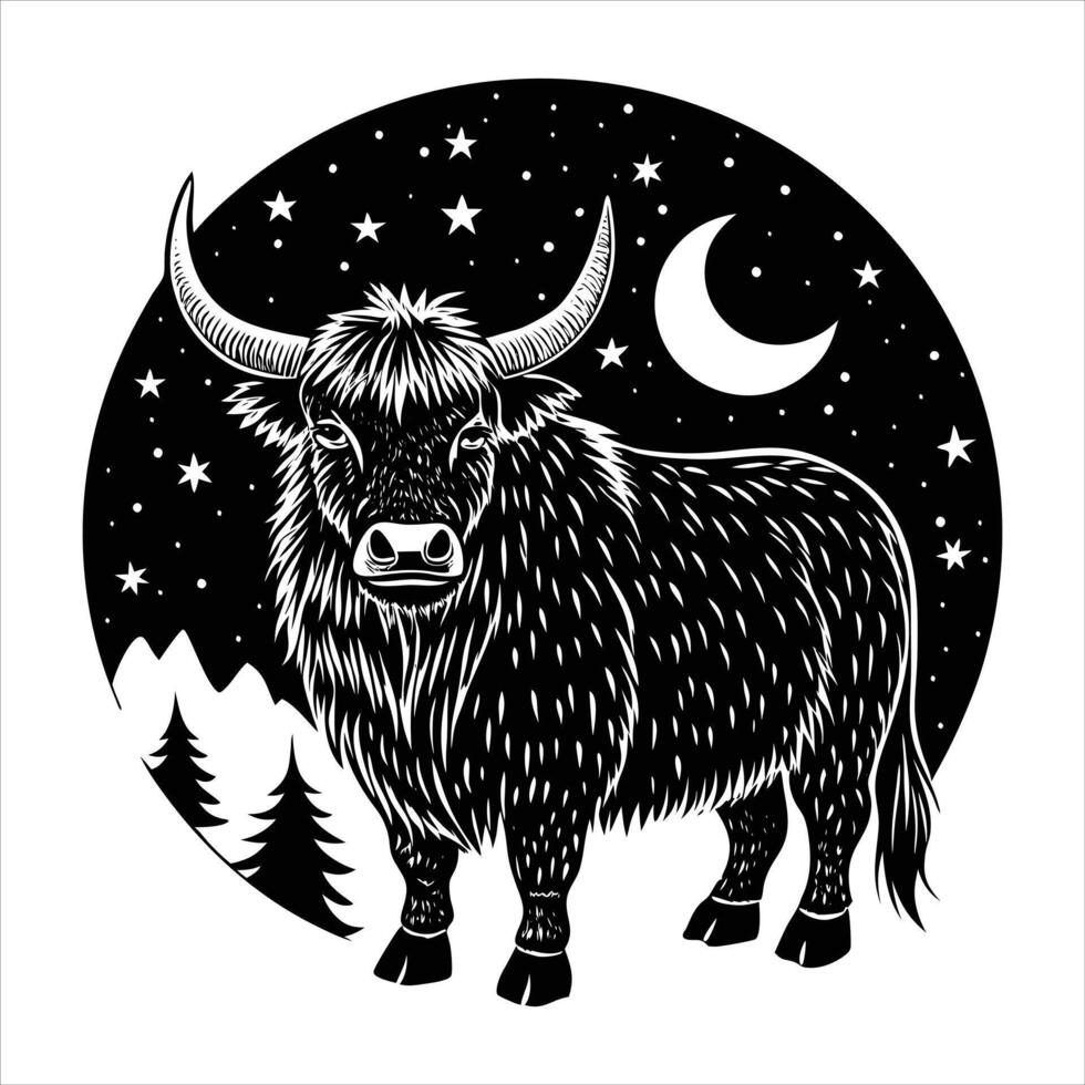 Highland Cow With Starry Night vector