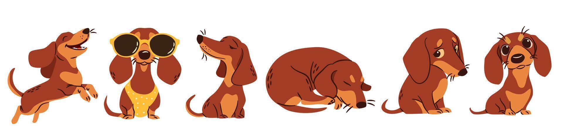 A set of flat illustrations in a simple children's style. Cute dachshunds in different poses. Happy dogs sleeping and playing vector