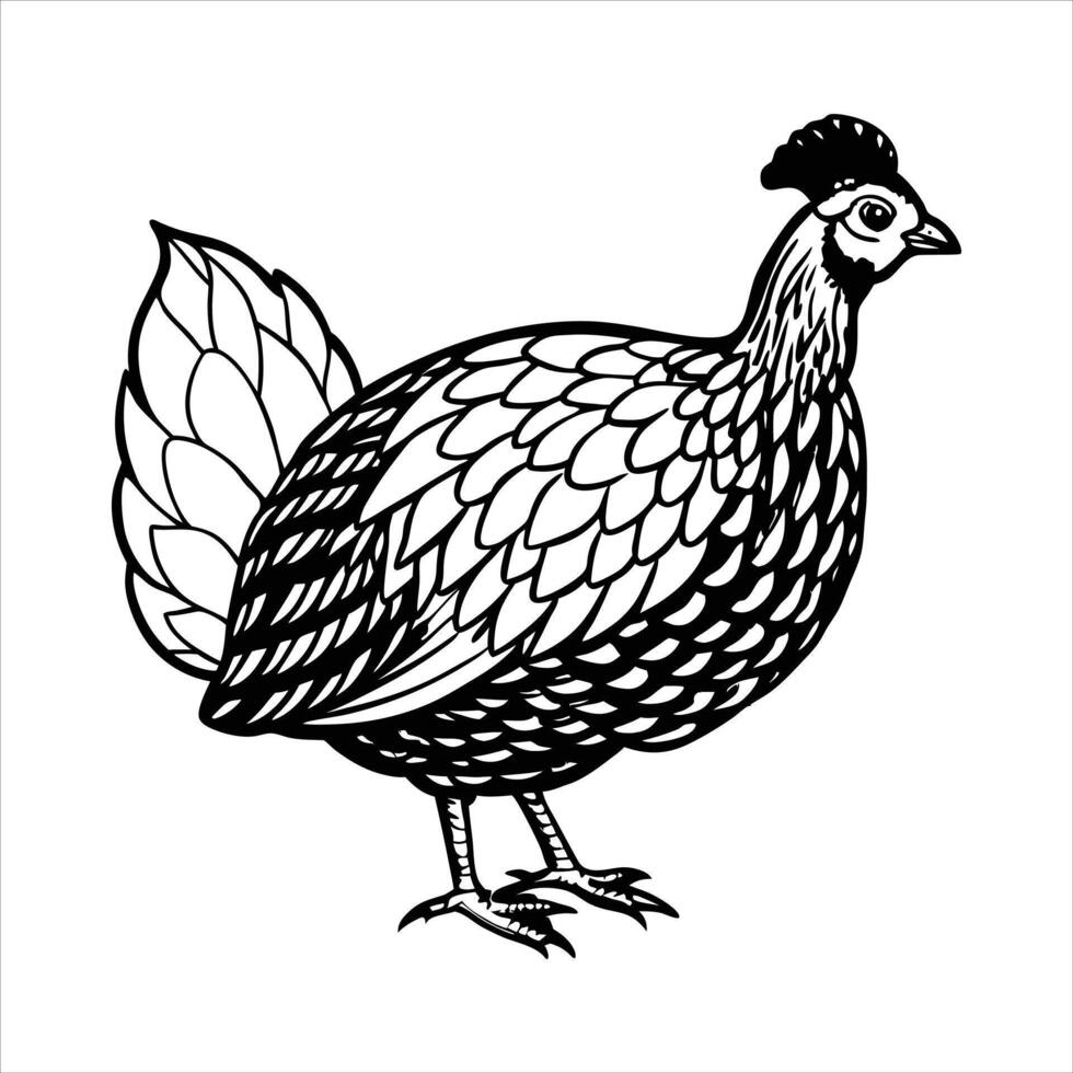 rooster icon design vector