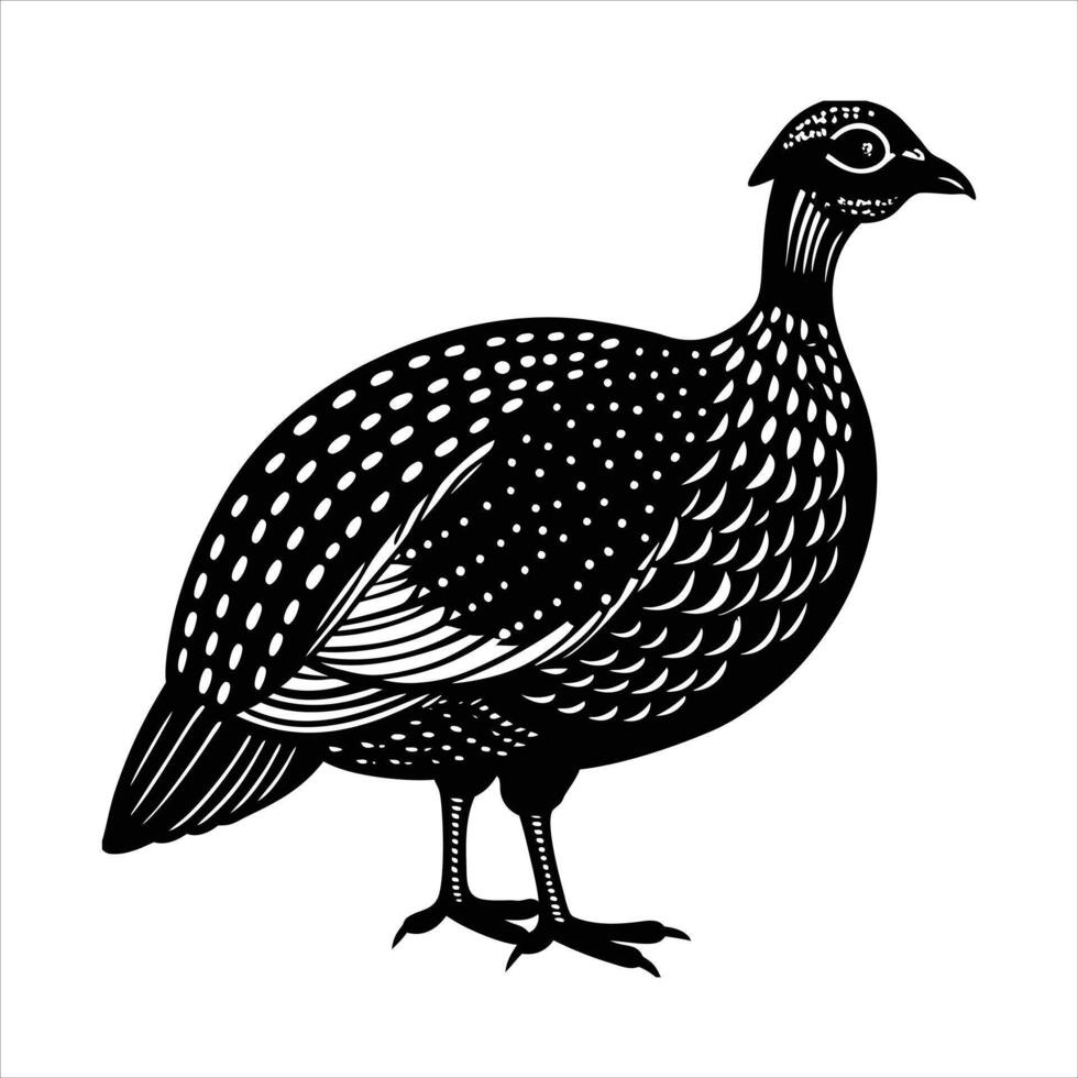 Guinea fowl bird vector